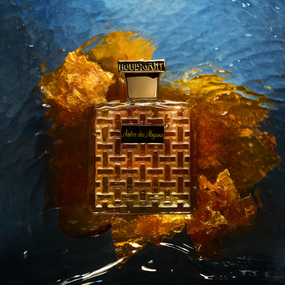 Ambre Des Abysses