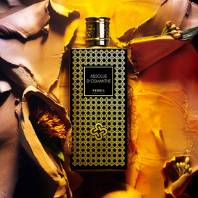 Absolue D&