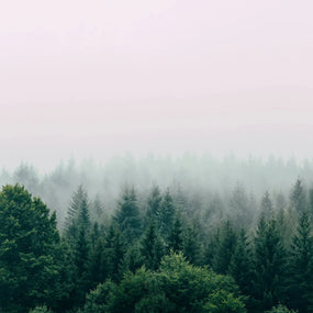 Breathe