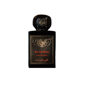 Lorenzo Pazzaglia - Van Py Rhum