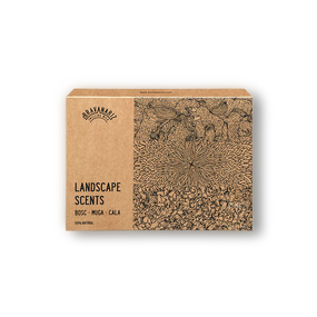 Olfactory Bravanariz