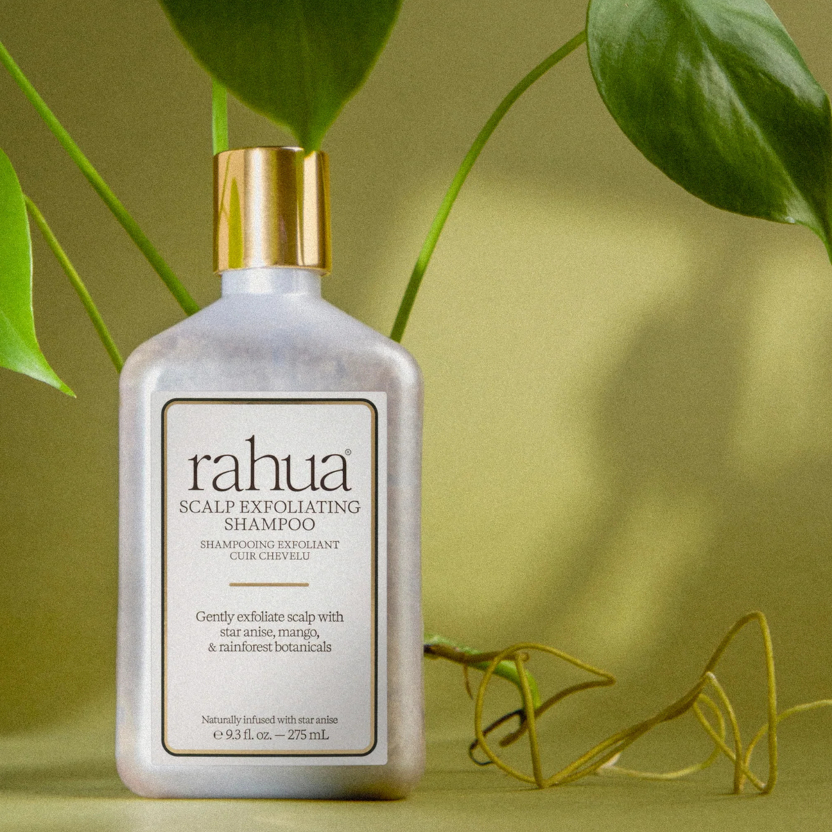 Scalp Exfoliating Shampoo